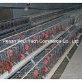 Hot Sale Galvanization Breeder Chicken Cage (A type)